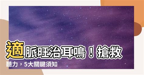 適脈旺耳鳴|耳鳴原因、檢查、 治療 和 預防 